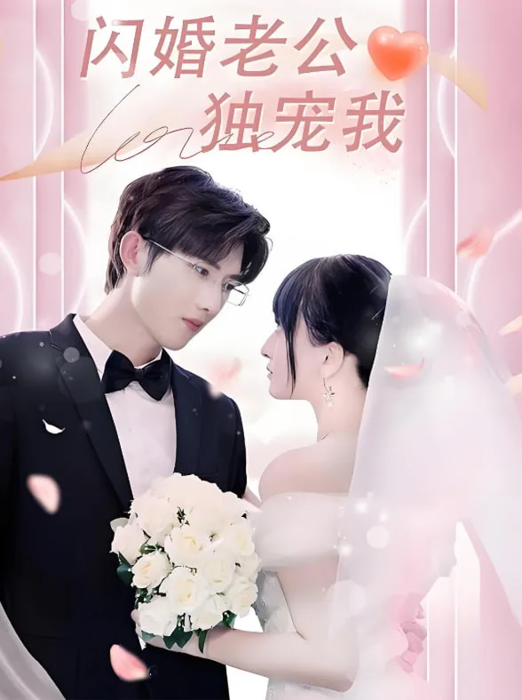 闪婚老公独宠我
