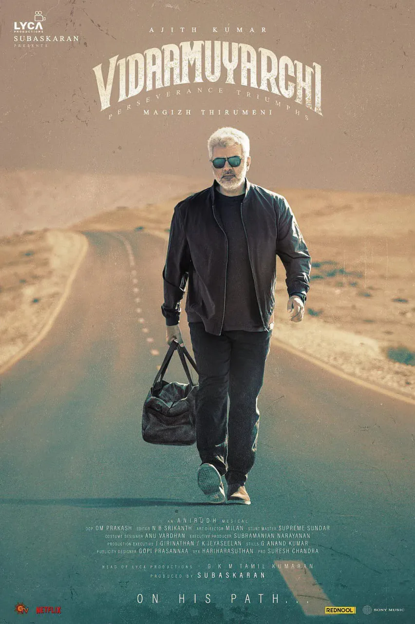 坚毅奇兵