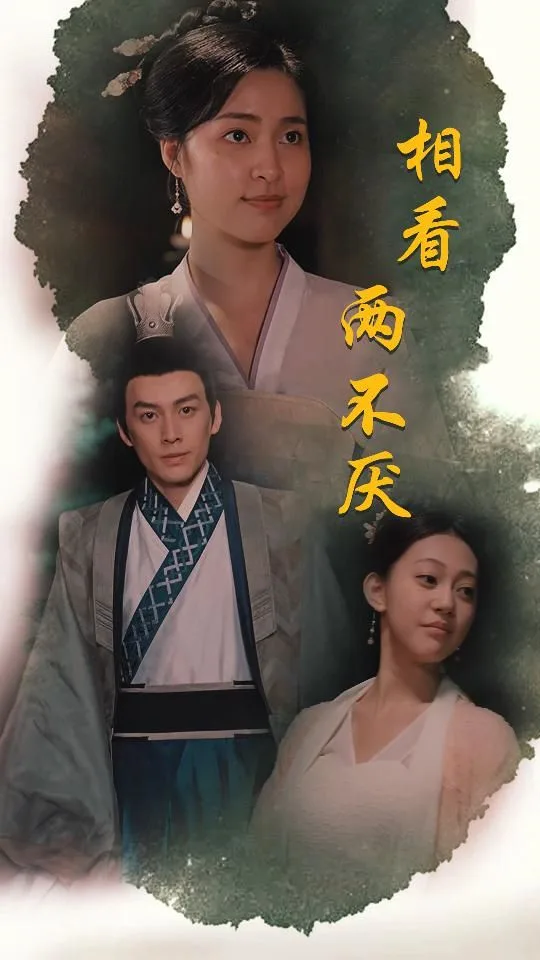相看两不厌(这个王妃不好惹)