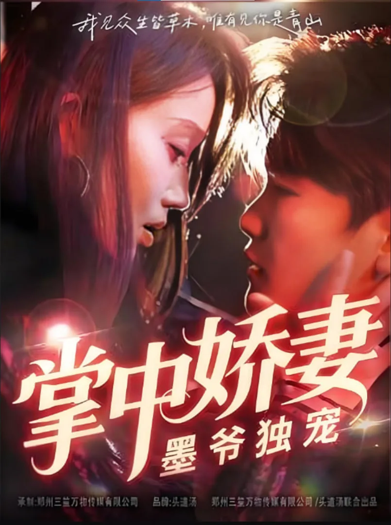 掌中娇妻墨爷独宠