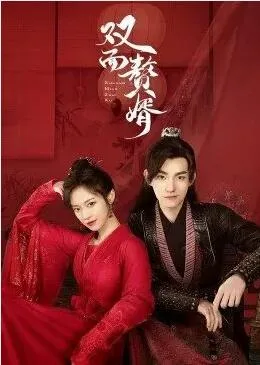 双面赘婿