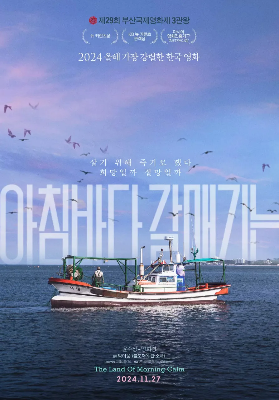 晨海的海鸥